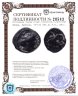 Купить Мизия, Лампсак, IV-III век до Р.Х., АЕ11.
