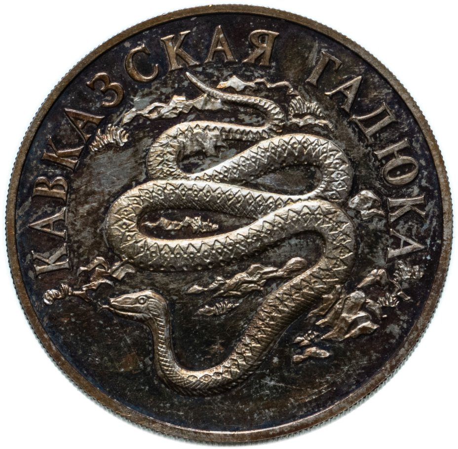 Монета 1 рубль 1999 СПМД кавказская гадюка стоимостью 3266 руб.