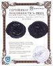 Купить Галльская империя, Викторин, 269-271 гг, антониниан