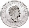 Купить Австралия 100 dollars (долларов) 2021 P Платиновая монета  "Kangaroo (кенгуру)"