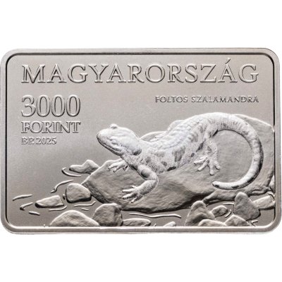купить Венгрия 3000 форинтов 2025 "Ящерица, национальный парк Аггтелек"