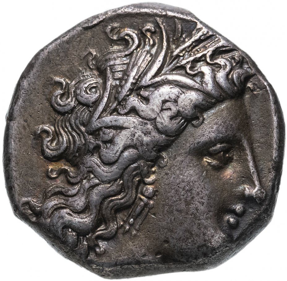 купить Лукания, Метапонт, 330-290 гг. до н.э., Дидрахма.