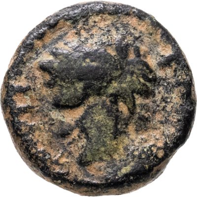купить Римская империя, провинция Иудея, Домициан, 81-96 годы, АЕ13. (Канават)