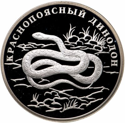 Купить 1 рубль 2007 СПМД краснопоясный динодон