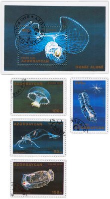 купить Набор марок из 5 штук "Фауна. Море. Океан. Медузы"