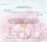 Купить Острова Кука 5 долларов 2008  "Пионы - цветы небесной красоты" (в упаковке, с сертификатом)