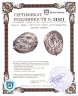 Купить Великое Княжество Тверское. Борис Александрович. Денга (Легенда / Дракон вправо в ободке) ГП 7091A, R5