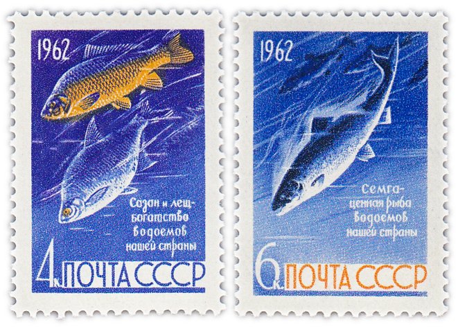 купить Полная серия 1962 "Рыбы" (2 марки)