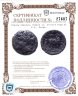 Купить Тираны Сиракуз, Гиерон II, 275-216 годы до Р.Х., Литра.