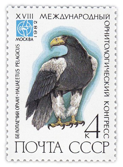 купить 4 копейки 1982 "Белоплечий орлан, Международный орнитологический  конгресс"