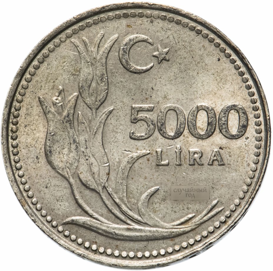 купить Турция 5000 лир (lira) 1992-1994, случайная дата