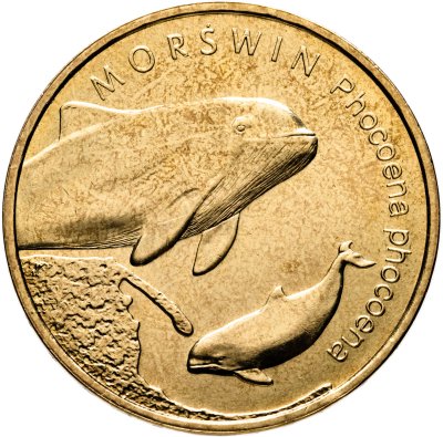 купить Польша 2 злотых 2004 "Животный мир Польши - Морская свинья"