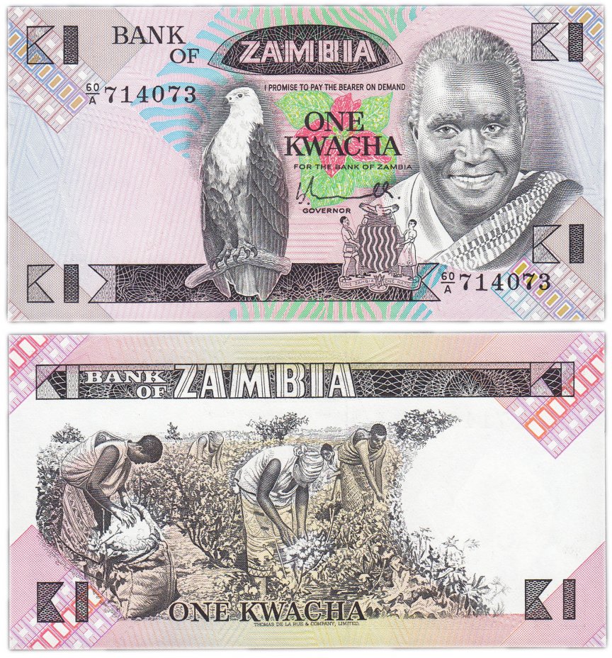 купить Замбия 1 квача 1980 -1988 (Pick 23а)