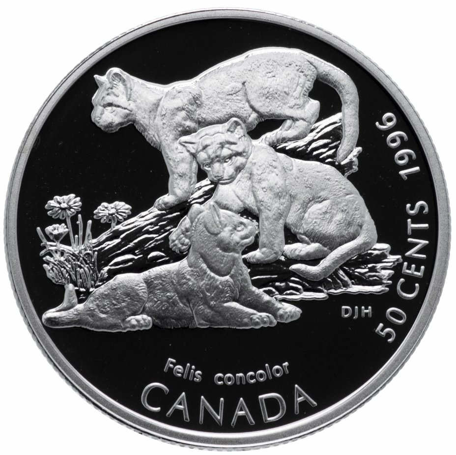 купить Канада 50 центов (cents) 1996   "Детёныши диких животных - Котята пумы"