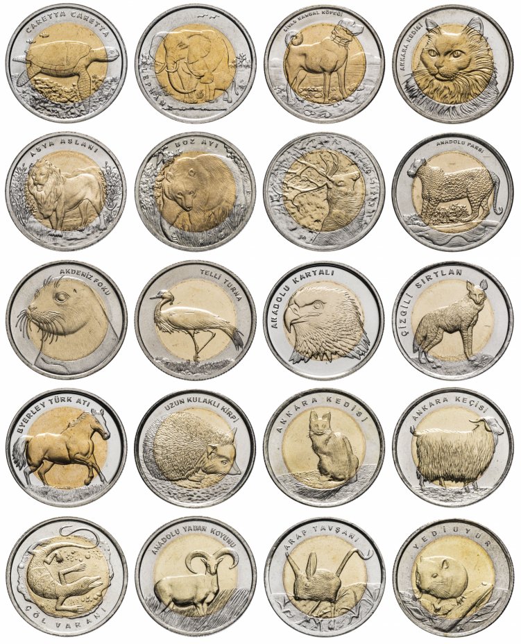 купить Турция набор монет 1 лира 2009-2016 (20 штук) Животные