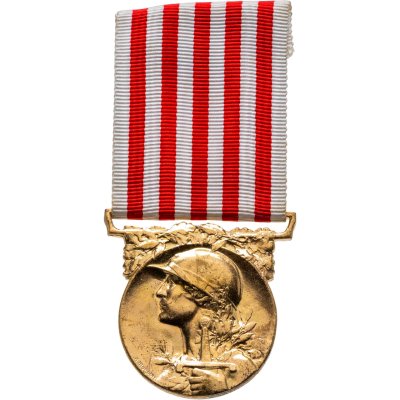 купить Франция памятная медаль войны 1914-1918