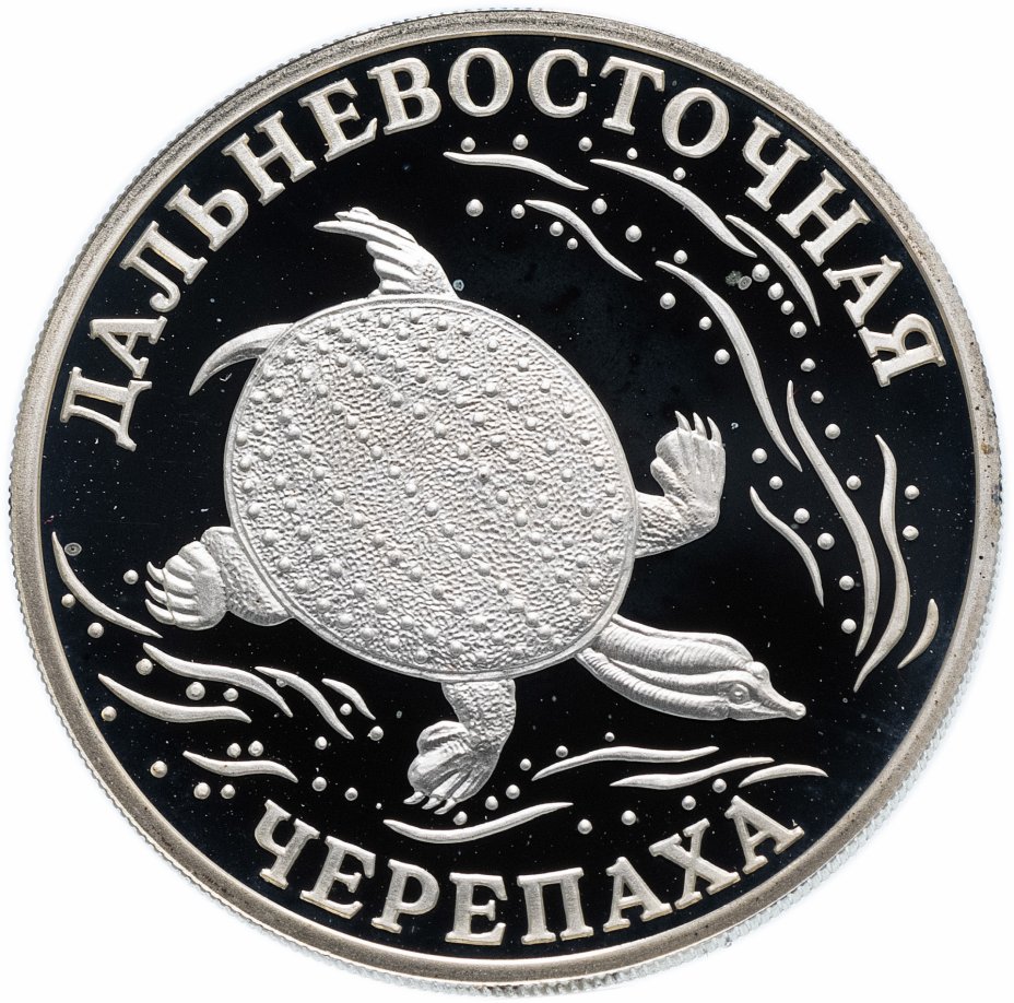 купить 1 рубль 2003 СПМД  "Красная книга: дальневосточная черепаха"