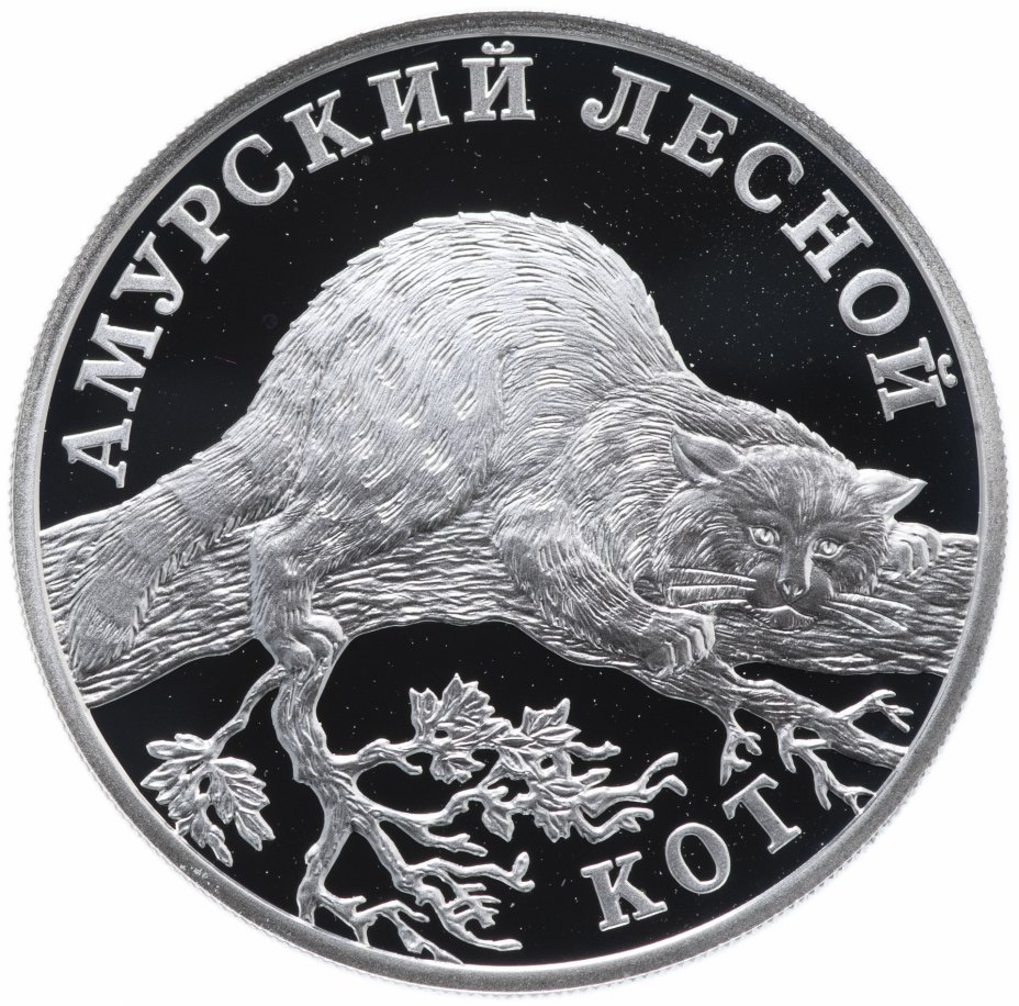 купить 1 рубль 2004 СПМД "Красная книга: амурский лесной кот"