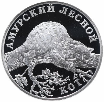 Купить 1 рубль 2004 СПМД "Красная книга: амурский лесной кот"