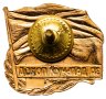 Купить Нагрудный знак "За дальний поход" для экипажей подводных лодок, Россия, "Мосштамп", 1990-2000 гг.