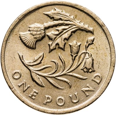 купить Великобритания 1 фунт (pound) 2014 Флора Шотландии