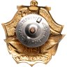 Купить Знак СВ Проект 956 Э