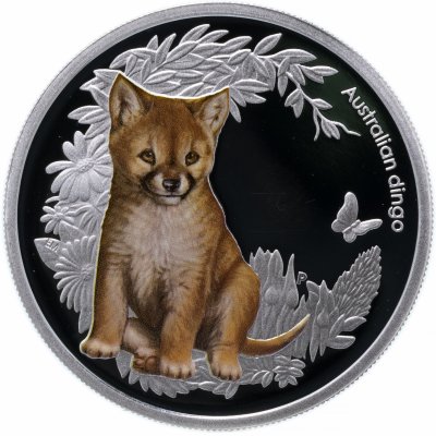 купить Австралия 50 центов 2011 «Детеныши австралийский животных. Щенок собаки Динго»