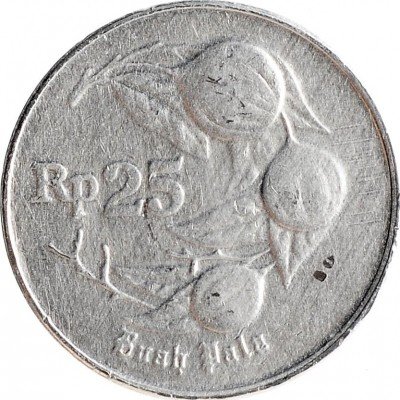 купить 25 рупий 1996