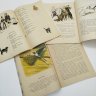 Купить Набор из 6-ти детских книг из серии "Читаем сами" (рассказы "Как ходят деревья", "Домашний воробей" и "Два мороза", С. Маршак "Первый день календаря", О. Перовская "Тигрёнок Васька", М. Пришвин "Вася Весёлкин"), бумага, печать, Издательство «Детская литература» (Детгиз), СССР, 1975-1985 гг.