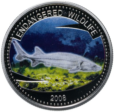 купить Палау 1 доллар 2008 "Подводный мир - Вымирающие виды - Рыба"