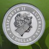 Купить Австралия 1 доллар 2013 " Коала цветная" в блистере