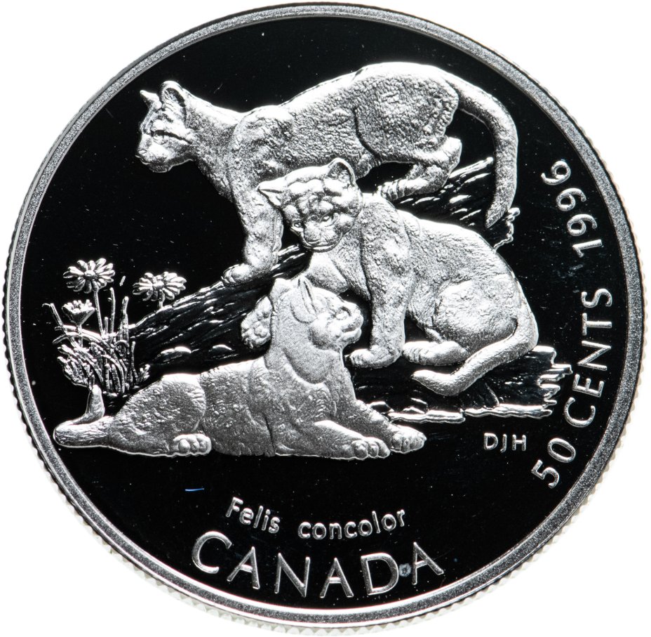 купить Канада 50 центов (cents) 1996  Детёныши диких животных - Котята пумы
