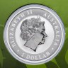 Купить Австралия 1 доллар 2014 "Коала цветная" в блистере