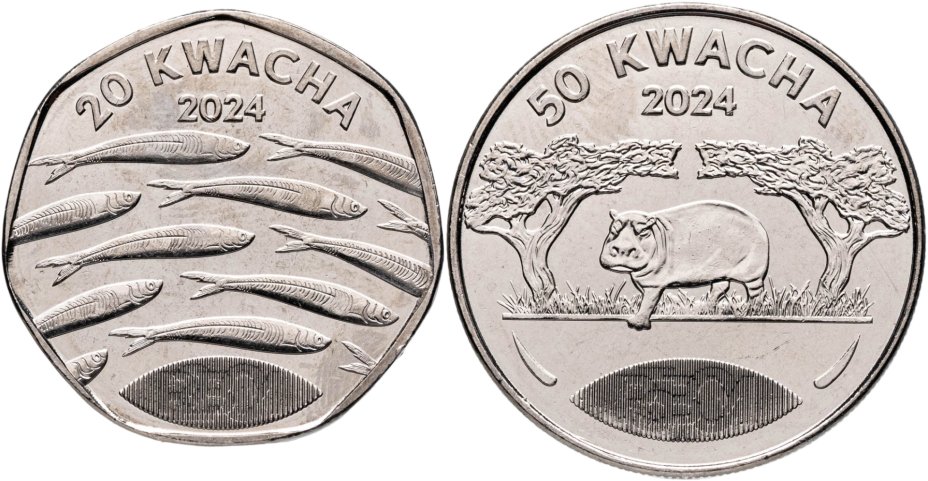 Купить Малави набор из 2 монет 20 и 50 квач 2024 (2026)
