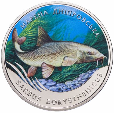 купить Украина 2 гривны 2018 "Днепровский усач (Barbus borysthenicus)" в коинкарте