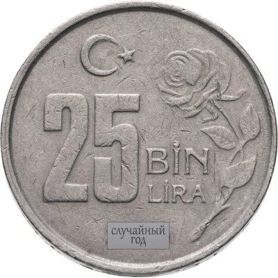 купить Турция 25 (25000) Бин Лира 1995-2000, случайный год