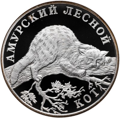 купить 1 рубль 2004 СПМД Proof "Амурский лесной кот (Красная книга)"