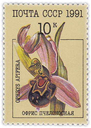 купить 10 копеек 1991 "Орхидеи: Офрис пчелоносная"