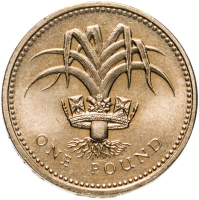 купить Великобритания 1 фунт (pound) 1990