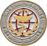 Купить Знак За мужество и доблесть в борьбе с COVID-19 Москва 2020 - 2021  (Разновидность случайная )