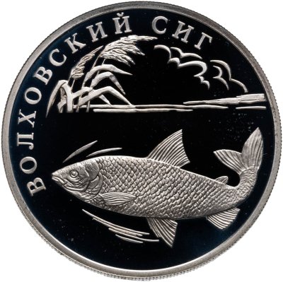 купить 1 рубль 2005 СПМД волховский сиг