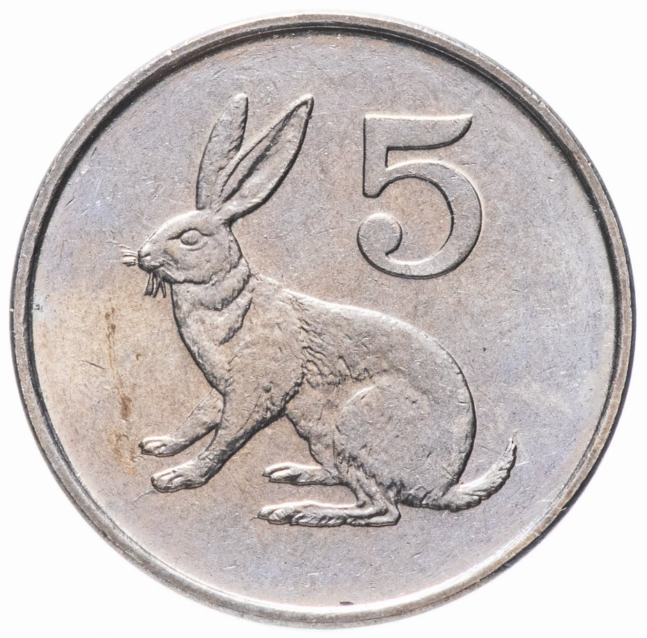 купить Зимбабве 5 центов 1997