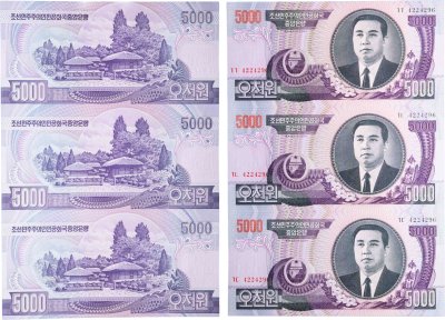 купить Северная Корея 5000 вон 2006 Лист из 3 банкнот