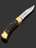 Купить Складной нож Buck Model 110 Folding Hunter 3.75'' (BU110BRSCB), сталь 420HC, рукоять дерево/латунь, нейлоновый чехол