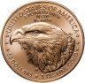 Купить США 50 долларов (dollars) 2023 "Американский золотой орёл"
