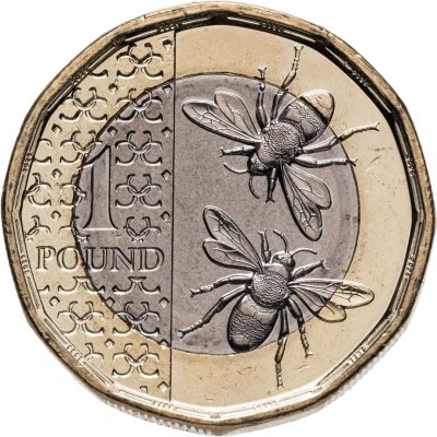 купить Великобритания 1 фунт 2025 "Пчелы"
