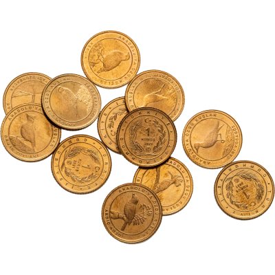 купить Турция набор из 12 монет 1 куруш 2021 Фауна - Птицы