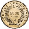 Купить Турция 5000 лир (lira) 1991 "Год Любви - Юнус Эмре"