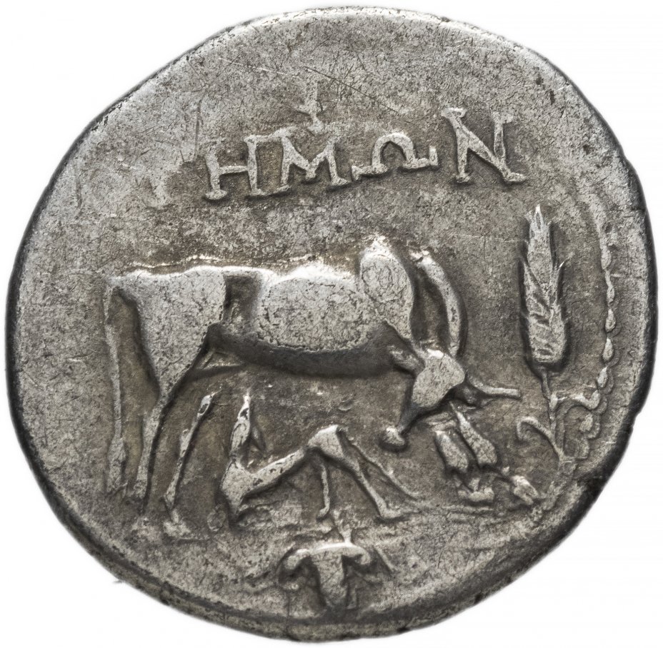 купить Иллирия, г. Диррахий III–II вв до н.э. викториат