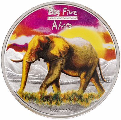 Купить Конго (ДРК) 240 франков (francs) 2008  Большая пятёрка Африки - Африканский слон
